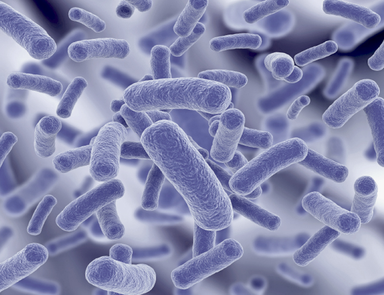 An image of microbial, enhanced by dairy cow microbial vitamins