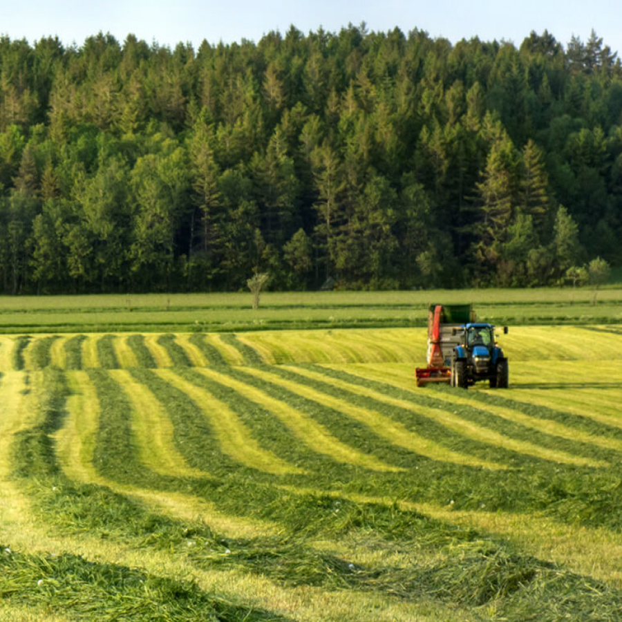 Keep the Bugs Alive! – Overall better quality silage.
