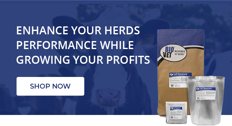 Enhance your herds performance while growing your profits - shop now