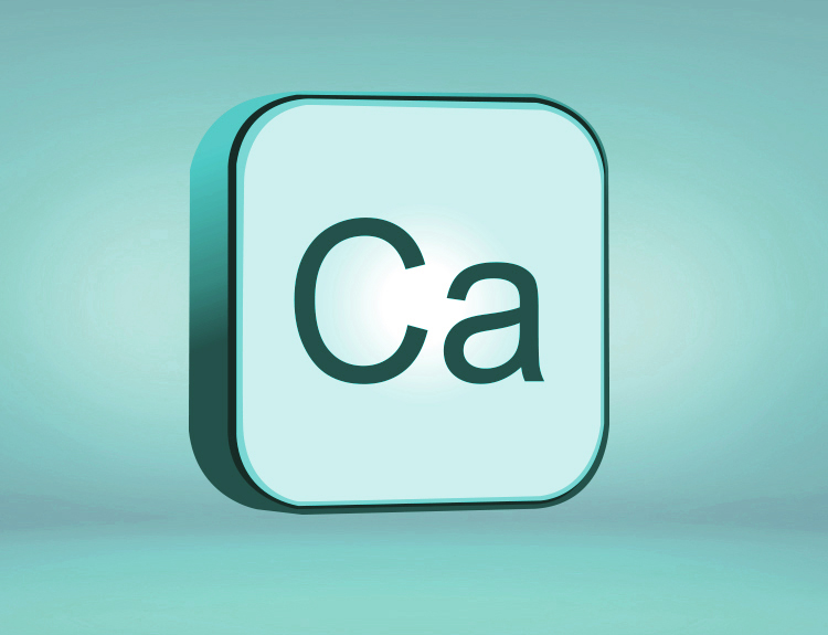 Calcium Anpario Bio-Vet Dairy