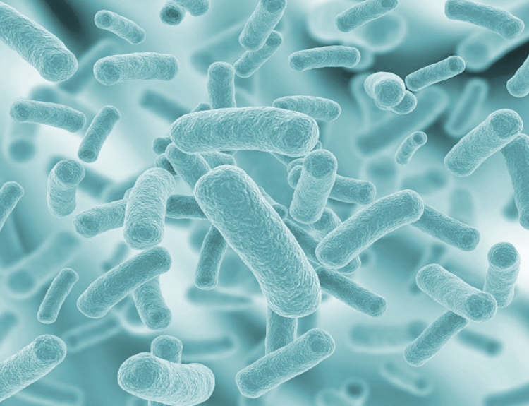 Microbials Dairy Anpario Bio-Vet