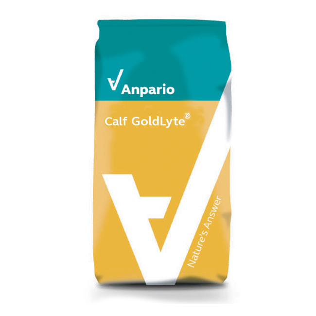 Calf GoldLyte.